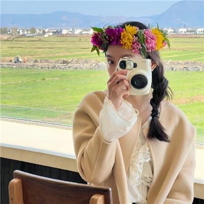 29片棕榈叶